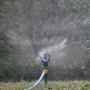 4559 Въртящ се градински разпръсквач за поливане, снимка 5