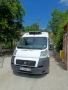 Хладилен бус и транспортни услуги , снимка 5