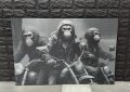 Светеща картина с Led осветление - 3 маймуна , снимка 1 - Картини - 45967880