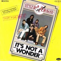 Грамофонни плочи Little River Band – It's Not A Wonder 7" сингъл, снимка 1 - Грамофонни плочи - 45536200