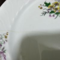 Стар български порцелан чинии , снимка 11 - Антикварни и старинни предмети - 45906249