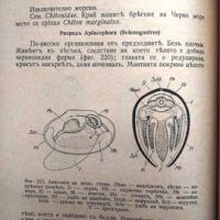 Анатомия и систематика на безгръбначните животни (1942), снимка 3 - Енциклопедии, справочници - 45710334