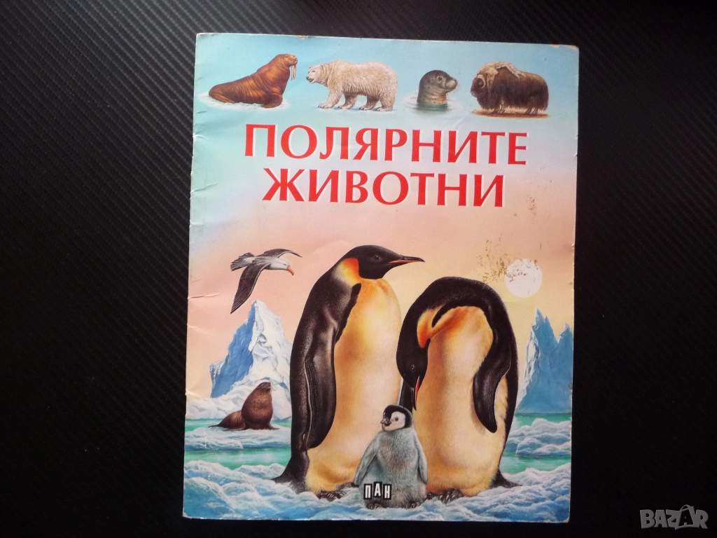Полярните животни детска красиви рисунки бяла мечка пингвини морски лъв овцебик морж тюлени сова пан, снимка 1