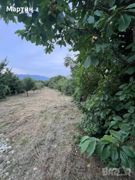 Косене на трева , снимка 1