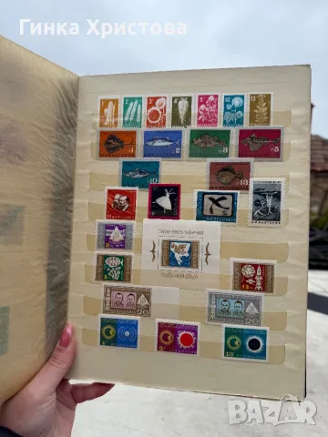 Голям класьор с различни пощенски марки, снимка 7 - Филателия - 50011063