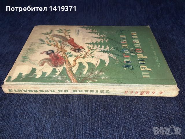 Загадки на природата - Димитър Бойчев - 1953, снимка 3 - Специализирана литература - 45664524