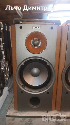 SONY SS-NX1, снимка 5 - Тонколони - 53891073