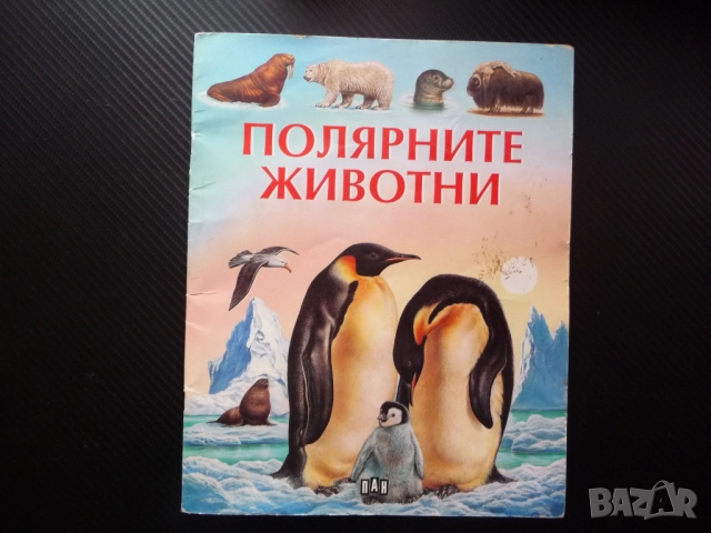 Полярните животни детска красиви рисунки бяла мечка пингвини морски лъв овцебик морж тюлени сова пан