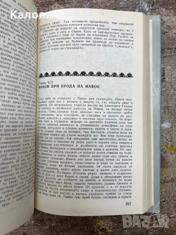 Фолклорът в стария завет от Джеймс Фрейзър - 1989 г. , снимка 7 - Художествена литература - 46906118