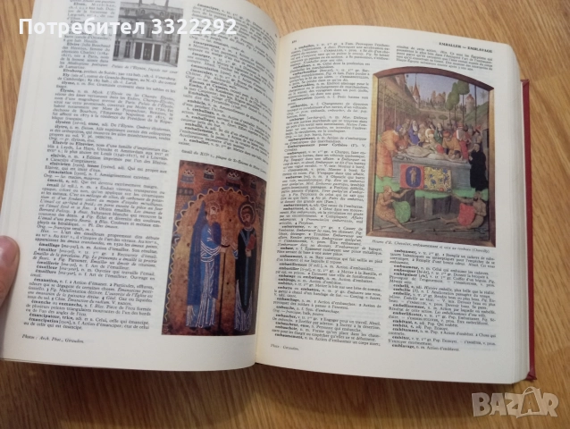 Quillet Flammarion. Dictionnaire Usuel en Couleurs Par le texte et par l'image , снимка 3 - Чуждоезиково обучение, речници - 52790729