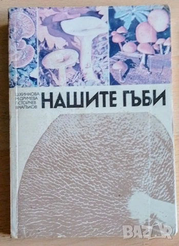 Нашите гъби