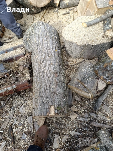 Орех-орехови трупи, снимка 7 - Дърводелски услуги - 53704493