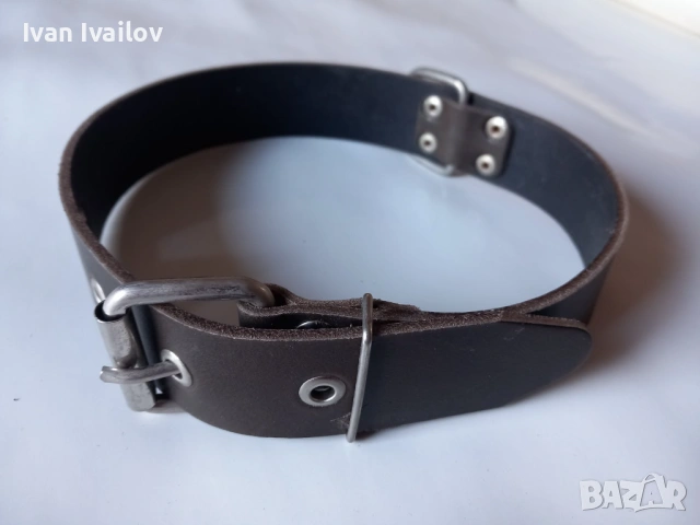 Здрав нашийник от естествена кожа – 4 см широк (за големи кучета)