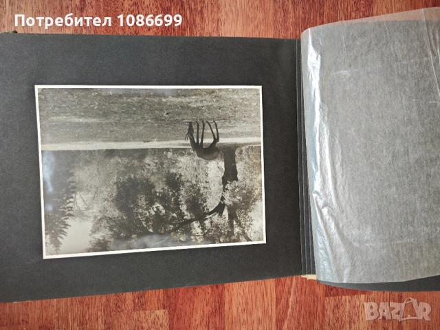 Албум Скулптурната украса на София Ив. Иванов, снимка 3 - Колекции - 54188696