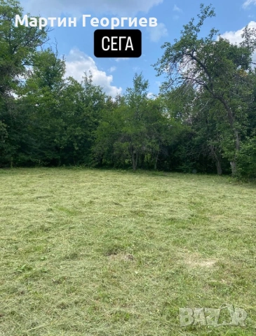 Почистване и косене на имоти , снимка 3 - Други почистващи услуги - 53816255