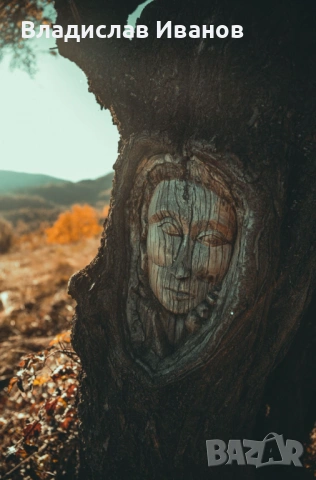 Професионален Фотограф: Сватби, Балове, Кръщенета и Събития, снимка 15 - Фотографи - 54191669