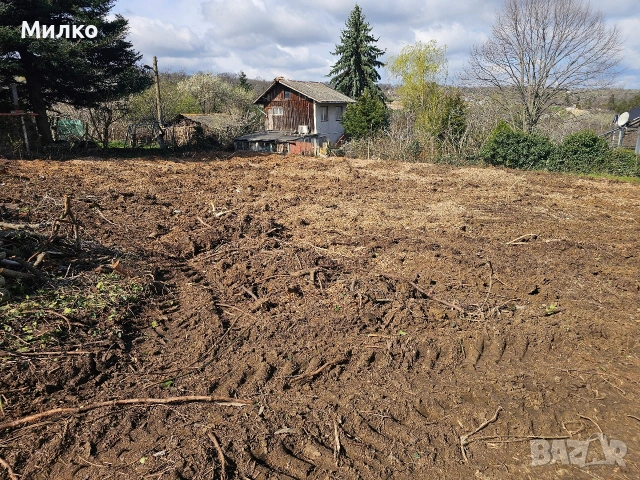 Почистване на парцели и дворове до чиста пръст, снимка 2 - Други почистващи услуги - 54143512