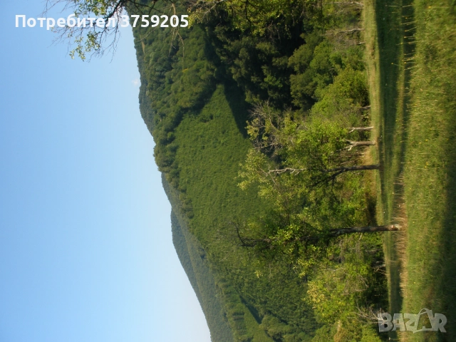 Продавам парцел в с.Рибариба, снимка 7 - Парцели - 52266031