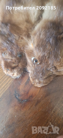 Кожена яка, снимка 2 - Шалове - 51854169