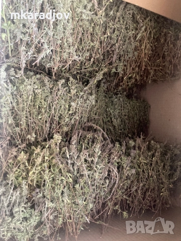 билки чай сок от бъз шипки подправки, снимка 3 - Домашни продукти - 46575710