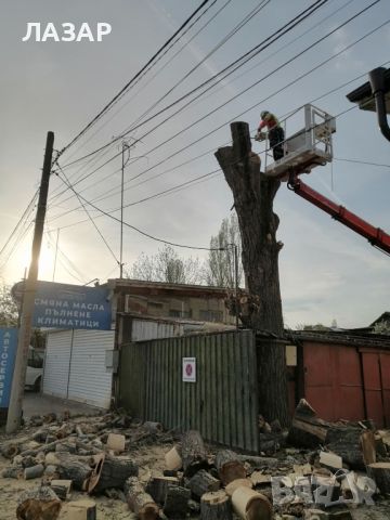 Рязане кастрене и грижа за дърветата , снимка 4 - Градинска техника - 46005855