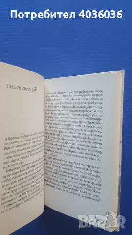 И други истории - Георги Господинов - книга, снимка 4 - Художествена литература - 53220505