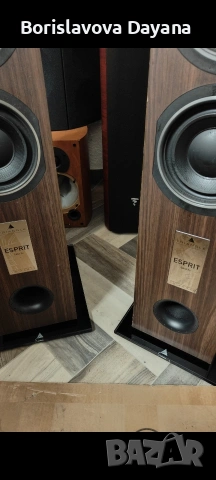 Тонколони TRIANGLE GAIA Ez , снимка 9 - Тонколони - 53918538