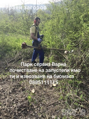 рязане на опасни дървета с вишка, снимка 4 - Други услуги - 54095012