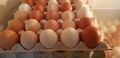 Продавам домашни яйца, снимка 1 - Кокошки и пуйки - 45842550