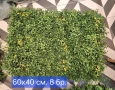 Изкуствена зеленина, пана за стена, панели за декорация, снимка 6
