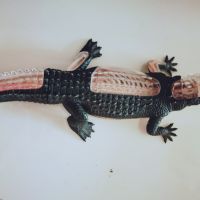 Играчка крокодил детска играчки, снимка 1 - Други - 45761339