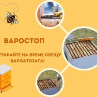 Варостоп Varostop, снимка 3 - За пчели - 45133614