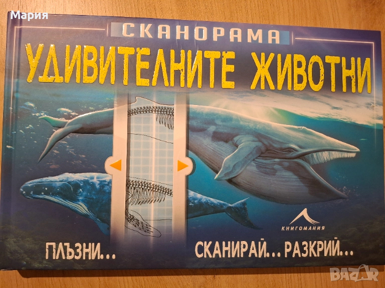 Удивителните животни, Сканорама, снимка 1