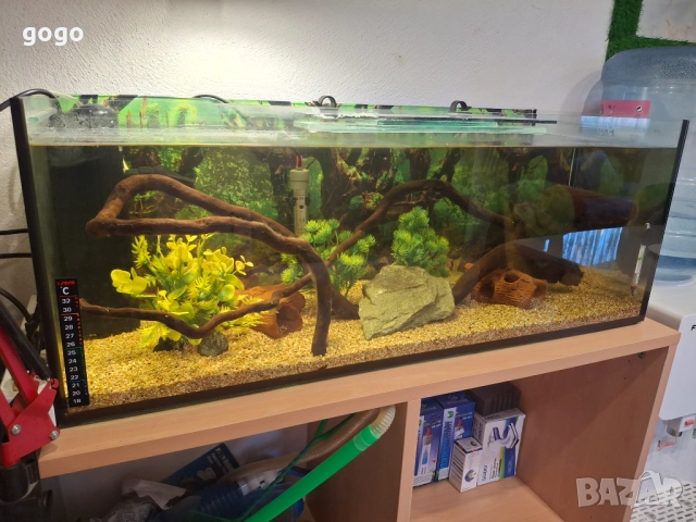 Три  Аквариума 