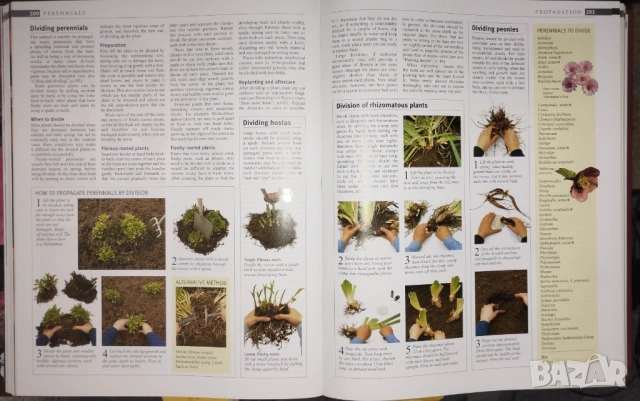 The Royal Horticultural Society Encyclopedia of Gardening, снимка 4 - Енциклопедии, справочници - 53937419