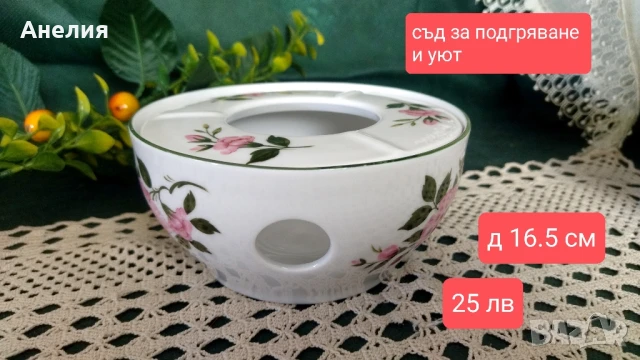 Winterling Bavaria дива роза , снимка 7 - Други - 50759177