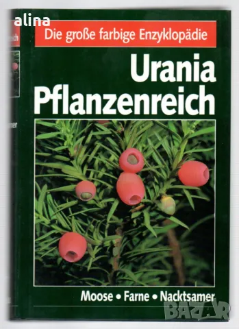 URANIA PFLANZENREICH: Viren. Bakterien. Algen. Pilze Колектив, снимка 1 - Енциклопедии, справочници - 48871650