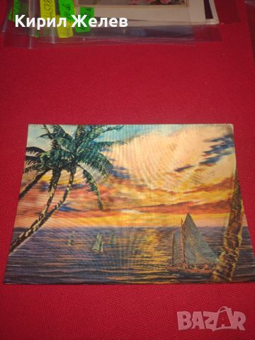Красива ефектна 3D пощенска картичка от Канарските острови Лас Палмас 44686, снимка 1 - Филателия - 45263024