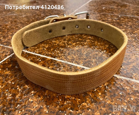 Нашийник за кучета едра порода, снимка 3 - За кучета - 53586950