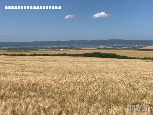 Продавам Панорамна земя до град Каблешково, снимка 5 - Земеделска земя - 44431160