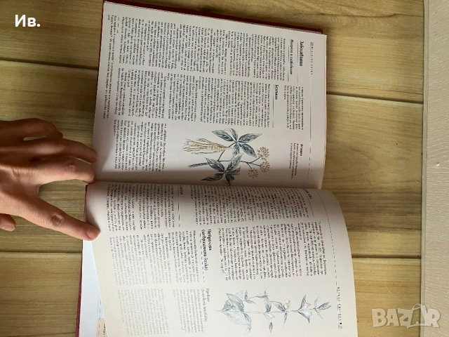 Книга за билките, снимка 5 - Енциклопедии, справочници - 52339729