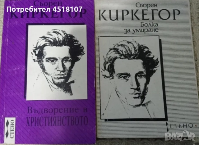 ФИЛОСОФИЯ/БИБЛ.: ИДЕИ, КАСТАЛИЯ, ФИЛОСОФСКО НАСЛЕДСТВО И ..., снимка 8 - Други - 51459613