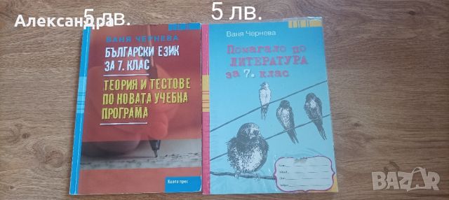 Учебни помагала за 7 клас , снимка 3 - Учебници, учебни тетрадки - 46317661