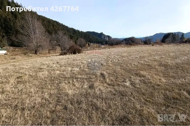 Поземлен имот в Езерово, снимка 12 - Парцели - 50132572