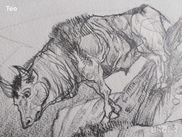 Прекрасна рисунка 38/55 см., снимка 5 - Антикварни и старинни предмети - 51054962