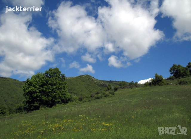 Бягство от града