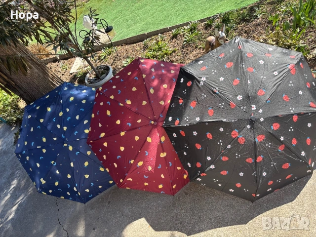 Сгъваеми чадъри с лимони и ягоди , снимка 2 - Други - 53750480