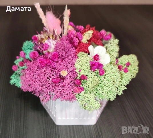 Многоцветни кашпи със скандинавски мъх , снимка 5 - Декорация за дома - 53147737