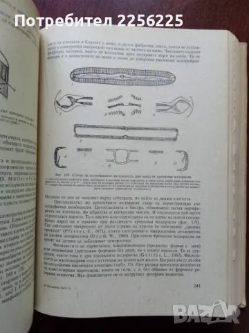 Ботаника ( част 2 ), снимка 4 - Специализирана литература - 50427598