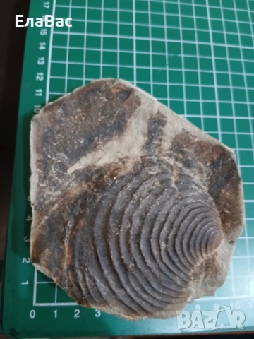 Подаръчна кутия книга от картон, снимка 3 - Ръчно изработени сувенири - 52455699